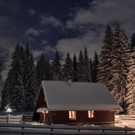 Cosy Chalet On Pokljuka - Brunarica Tinkara Zgornje Gorje Kültér fotó
