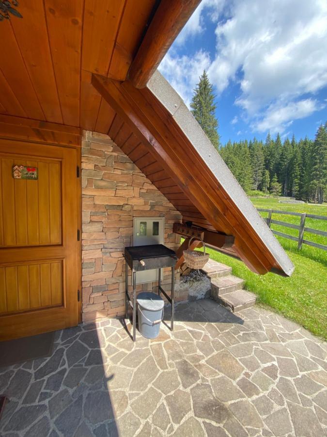Cosy Chalet On Pokljuka - Brunarica Tinkara Zgornje Gorje Kültér fotó