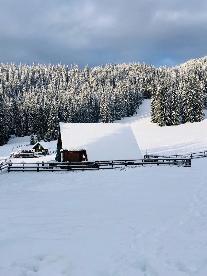 Cosy Chalet On Pokljuka - Brunarica Tinkara Zgornje Gorje Kültér fotó