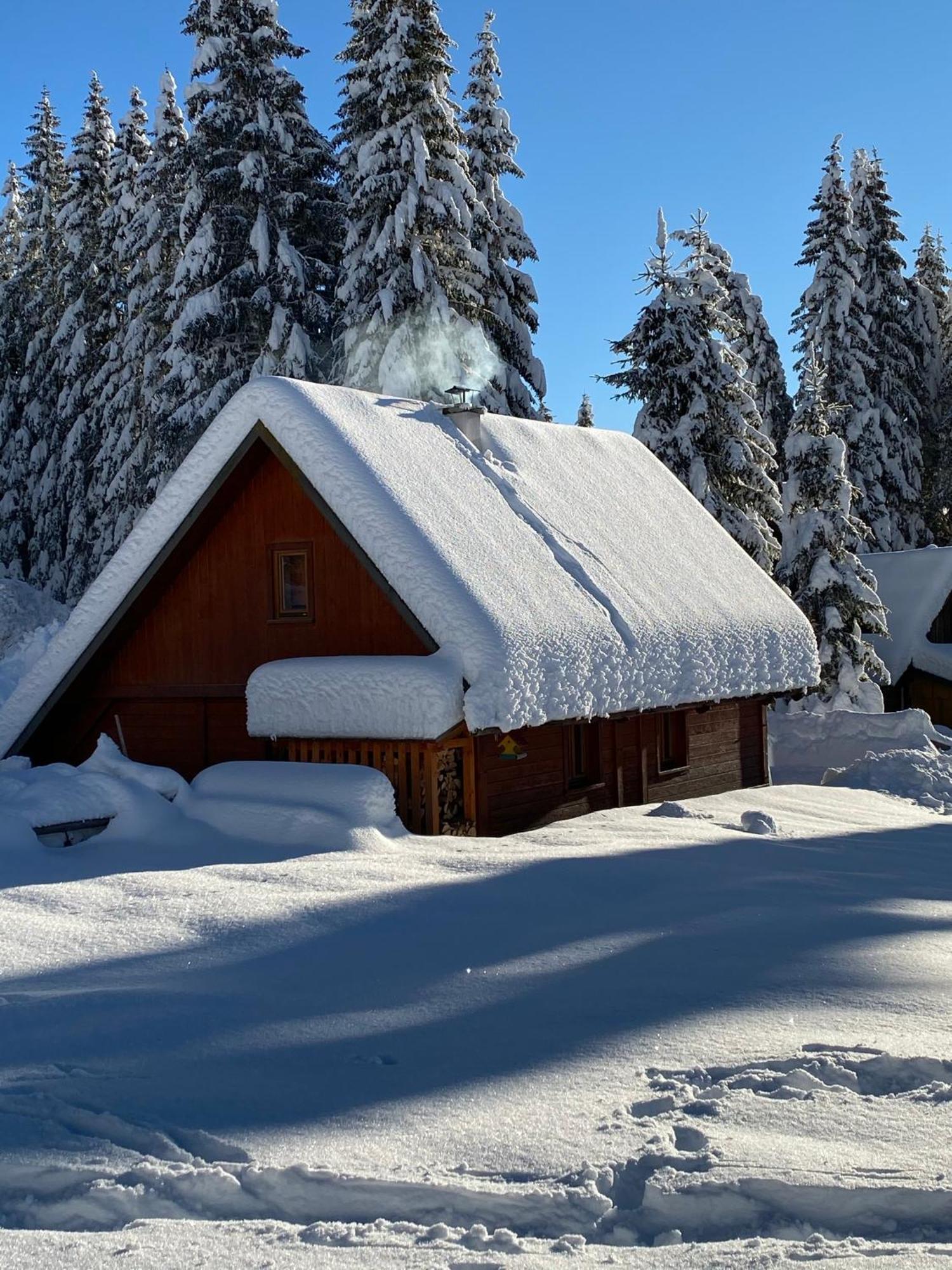 Cosy Chalet On Pokljuka - Brunarica Tinkara Zgornje Gorje Kültér fotó