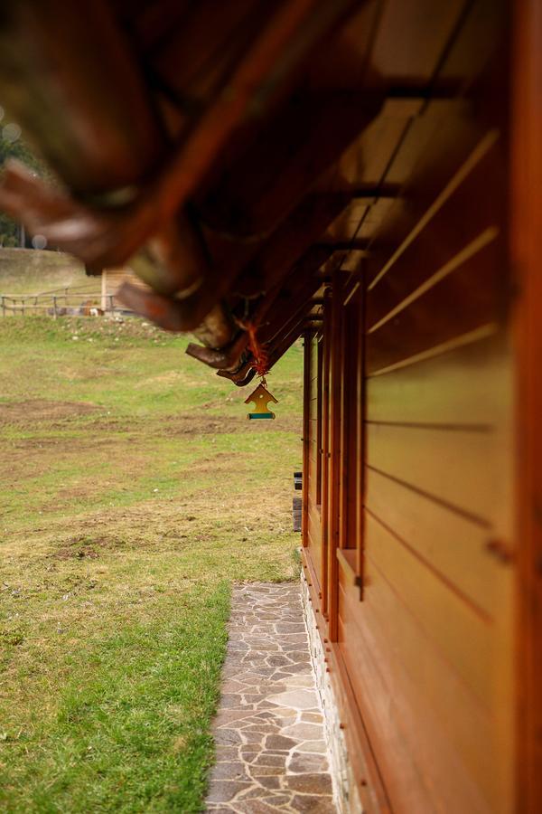 Cosy Chalet On Pokljuka - Brunarica Tinkara Zgornje Gorje Kültér fotó
